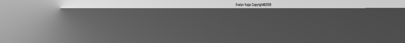 Photos and WebDesign by Evelyn Kopp Copyright 2008