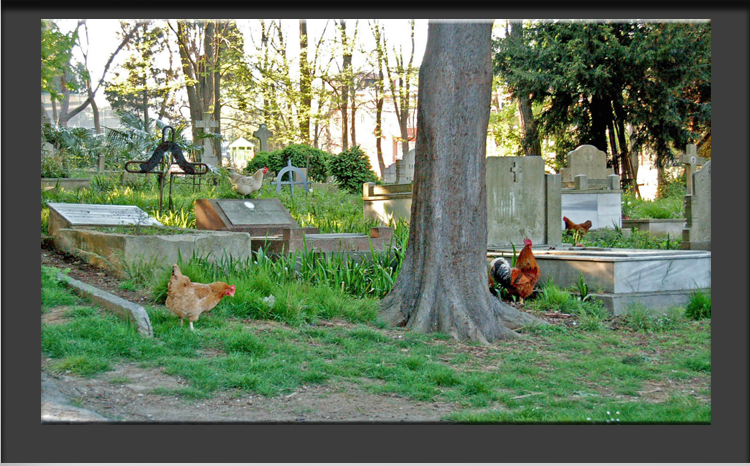 Greek-Orthodox Graveyard in Resitpasa