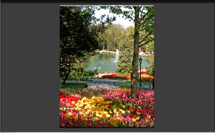 Tulip Festival in Emirgan Park