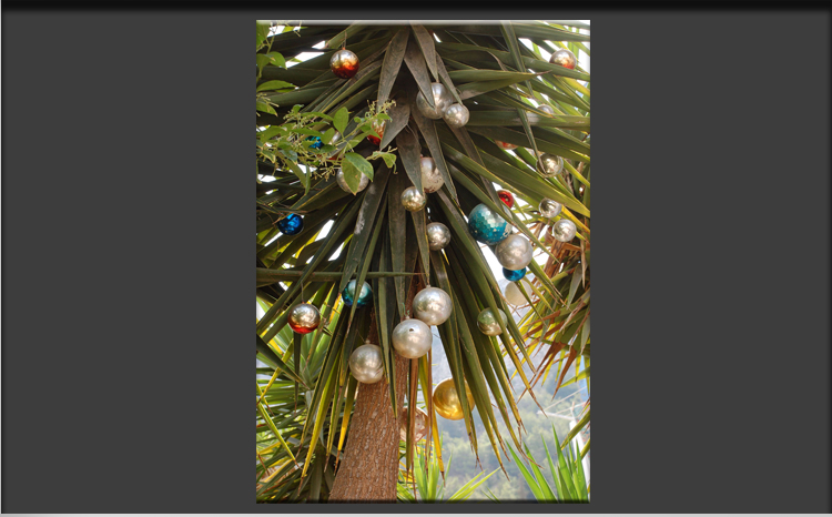 Christmas "Palm"Tree, Detail 