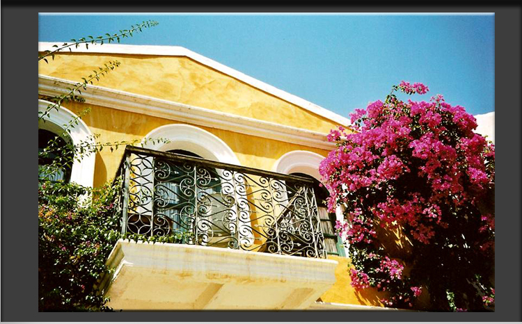 Balcony with Flowers